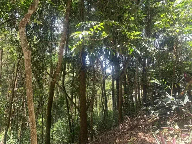 Vendo Lote em São Sebastião das Águas Claras- MACACOS/NOVA LIMA