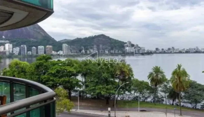 Apartamento : Padrão / Residencial / Lagoa