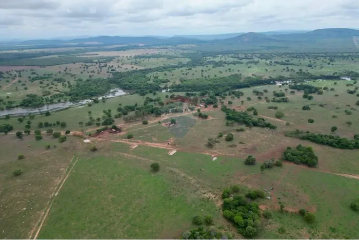 Fazenda à Venda - Oportunidade no Sul do Tocantins