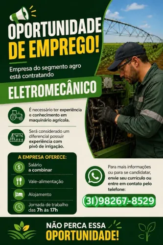 Eletromecânico (Empresa do segmento agro) na cidade "Morada Nova de Minas"
