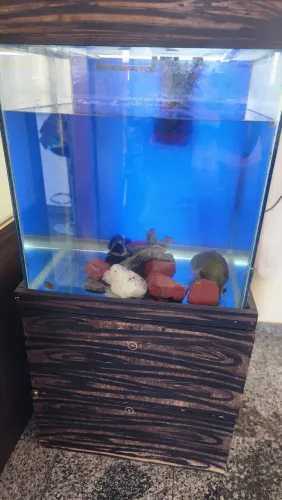 Aquário