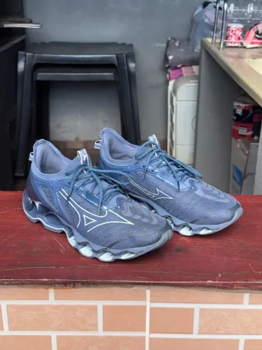 Mizuno wave prophecy 14