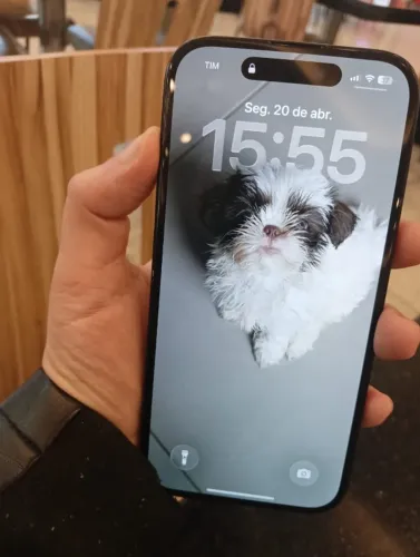 iPhone 15