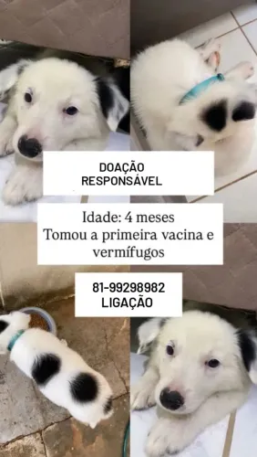 Doação responsável