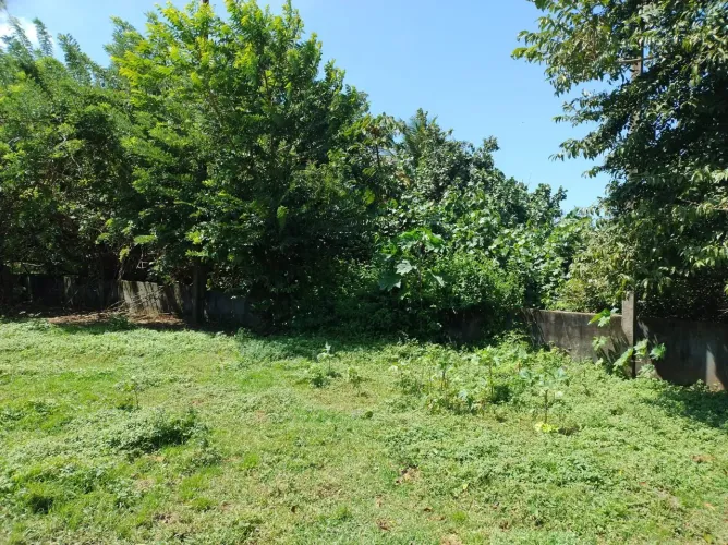 Sítio na Zona norte potengi