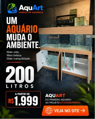Aquário 200 Litros 100x40x50 + Móvel | AquArt