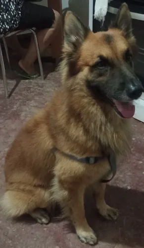 Leia o Anúncio, Por favor!