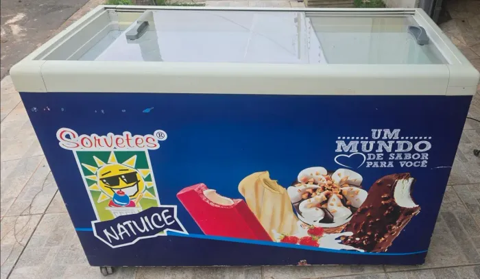 Varios freezers , vendo separado ou lote todo