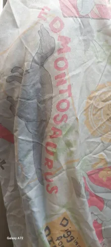 Lençol de cama e fronha dinossauro