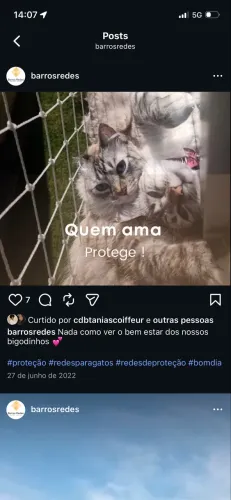 Redes de proteção 