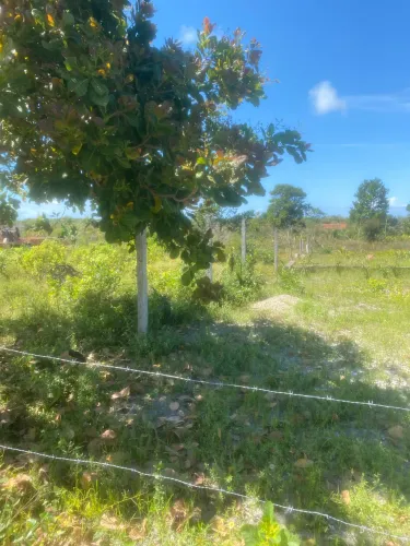 Terreno no jatobá