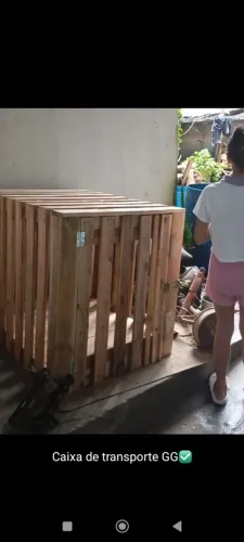 Caixa de transporte Pet viagem