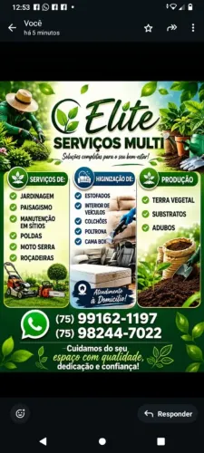 Lavagem a seco