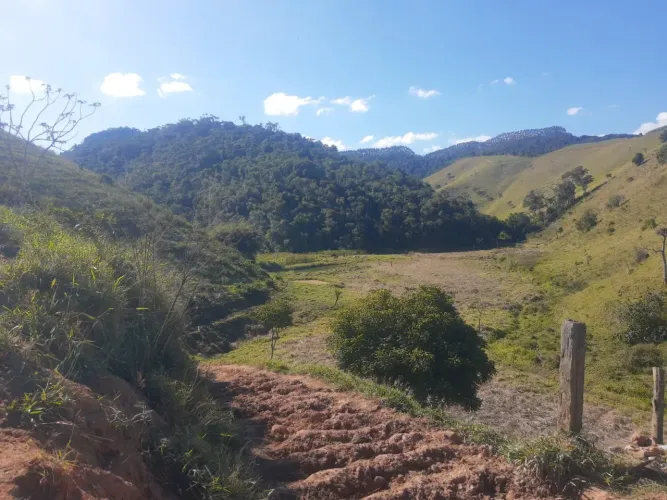 VENDO FAZENDA 40 ALQUEIRES FORMADA NA PECUARIA REGIAO DE NATIVIDADE DA SERRA ( 4281 )
