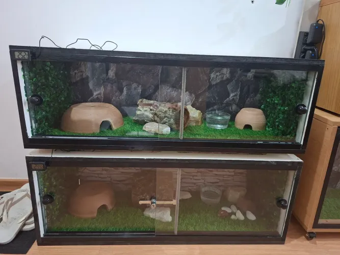 Terrario