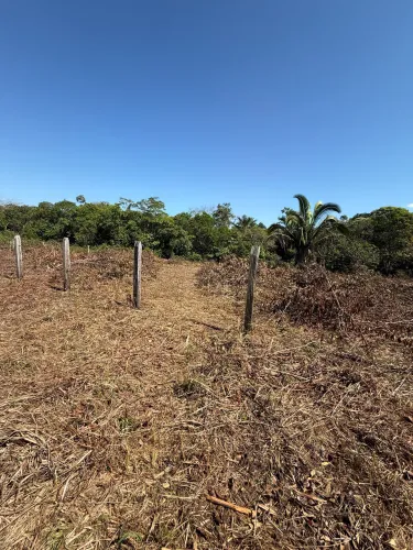 Chácara 40x100 10 min de pvh (água o ano todo)