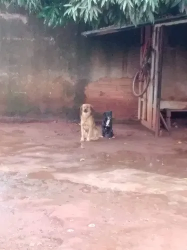 Vendo um lote