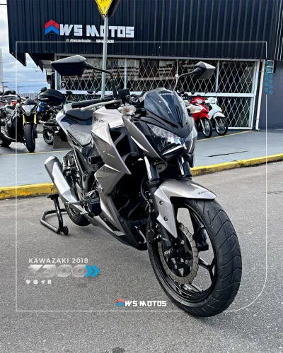 Z300