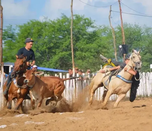 Cavalo de direita