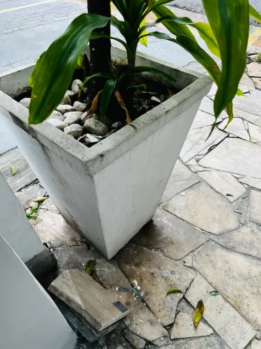 Vaso de planta 