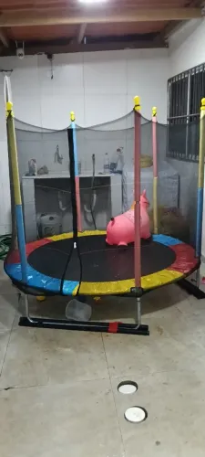 Pula pula  1 ,8m