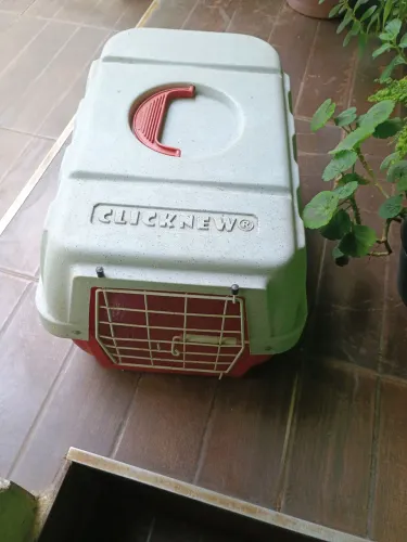 Transporte seu pet , somente 50,00