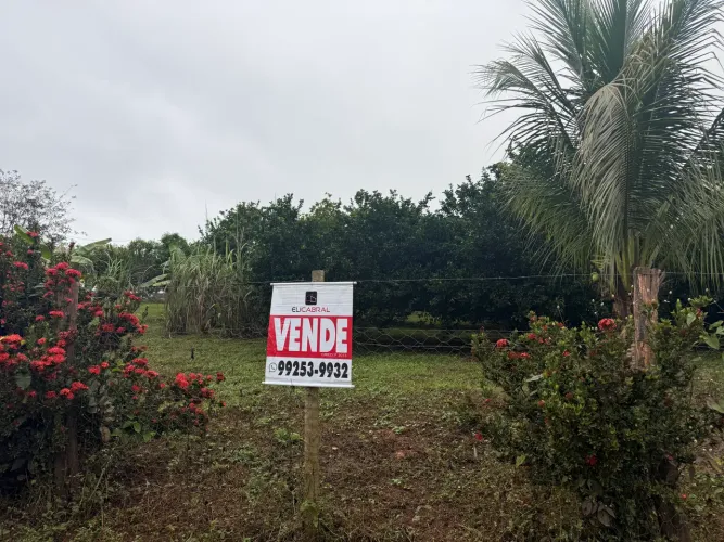 Assentamento Mineira Aguacu