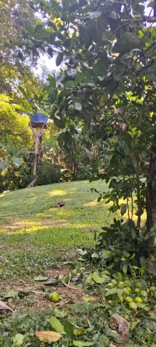 Ubatuba terreno no Sertão de Ubatumirim 