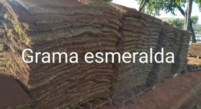 Grama Esmeralda Produto Top Linha Confira Hoje 