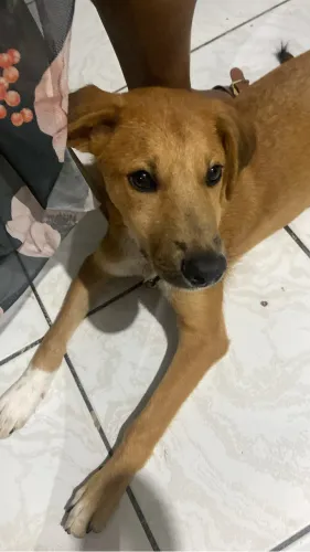Doação 