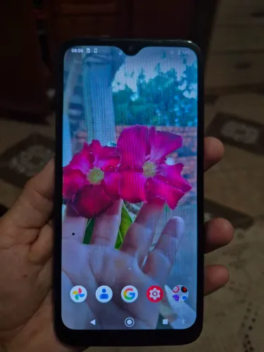 Celular