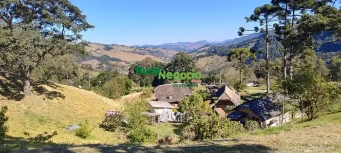 SÍTIO FORMADO COM POMAR E HORTA ORGÂNICAS EM DELFIM MOREIRA-MG