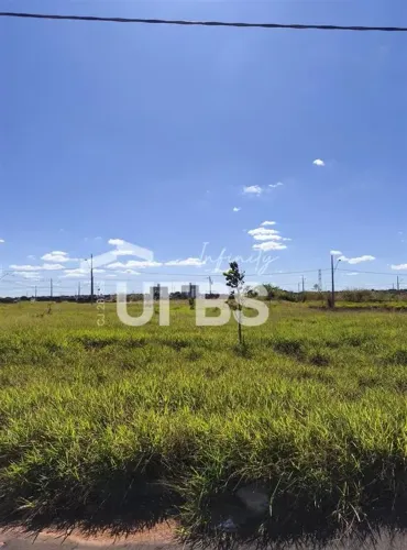 Terreno com 250,08m² à venda no Laranjeiras