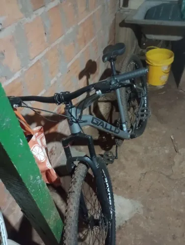 Bike 29