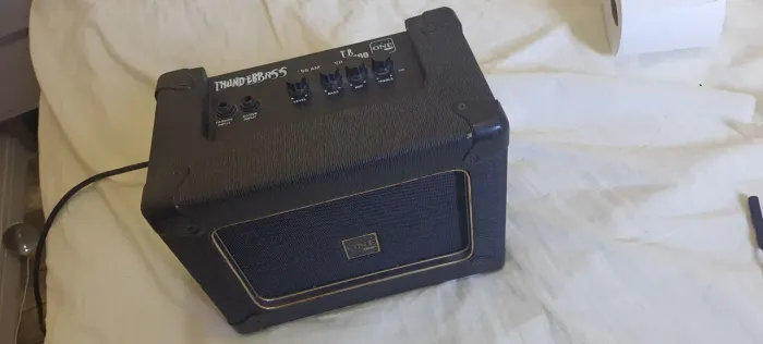 Amplificador thunderbass tb100