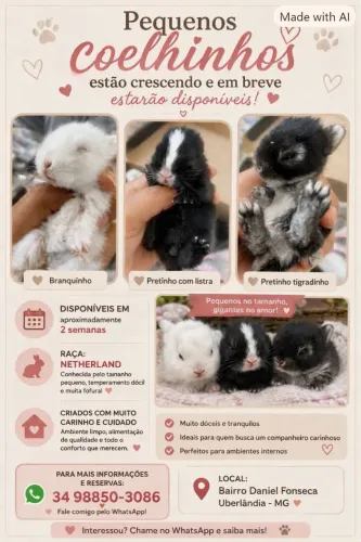 COELHINHOS