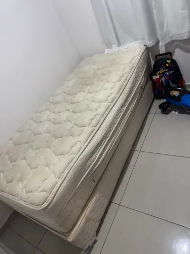 Cama 