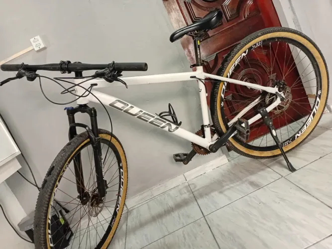 Bike aro 29