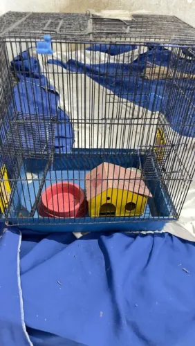 Gaiola de hamster vendo com tudo a casinha e o pote de comida 