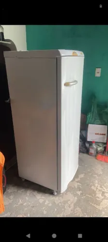 Geladeira Eletrolux funciona perfeitamente facilito a entrega chame no chat