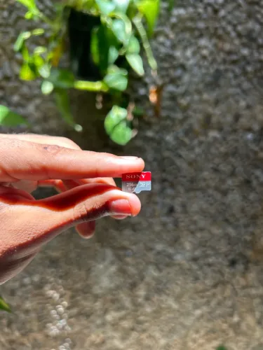 Memória para Nintendo Switch de 256gb
