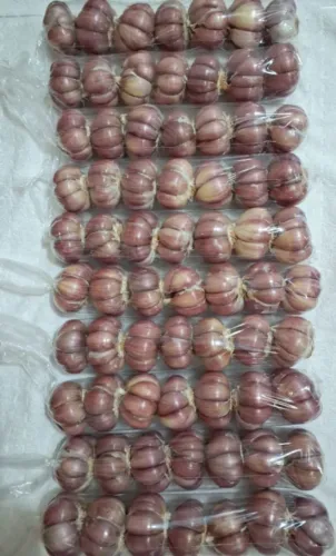 Alho roxo direto de minas gerais