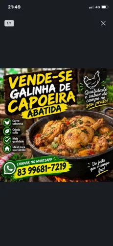 Galinha de capoeira abatida