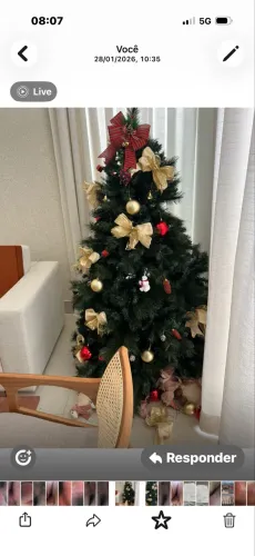 Árvore de Natal de 1.90 Mg