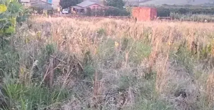 Chácara em Mandaguari