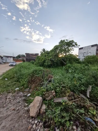 Vendo 2 terrenos no conjunto mururé