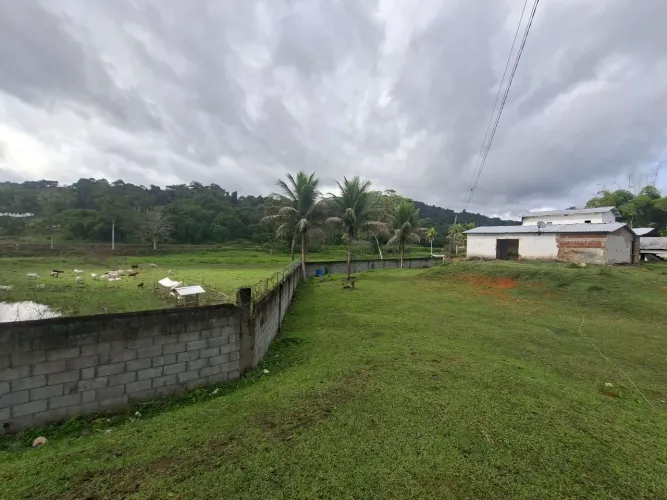 FAZENDA PRODUTIVA À VENDA EM URUÇUCA - EXCELENTE OPORTUNIDADE DE INVESTIMENTO<br>
