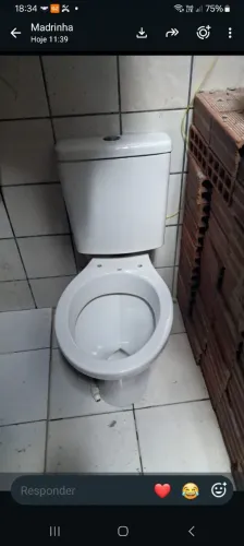 Vaso sanitário R$250.00. zap contato *