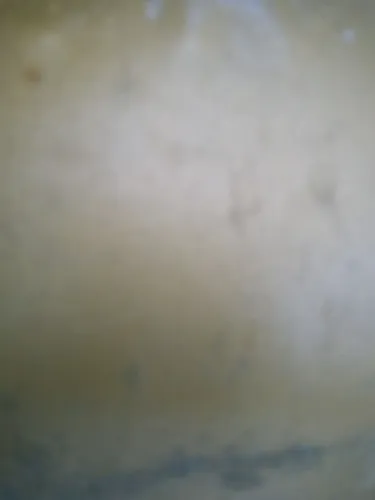 fogão