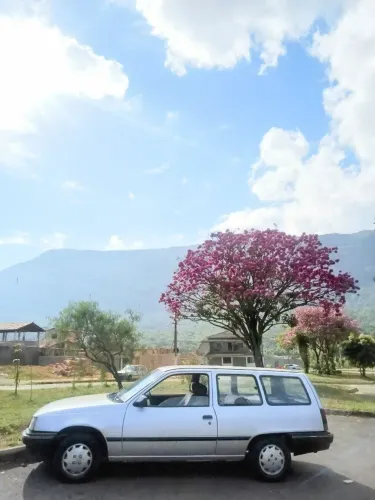 Chevrolet Ipanema GL 1.8 MPFI / EFI /SL 4P 1991